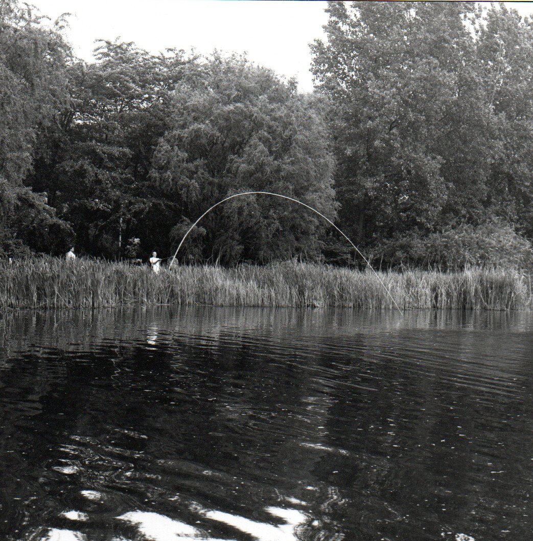 &copy; Toine Horvers: 