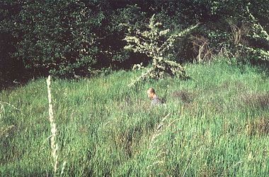 © Toine Horvers: Toine Horvers,Paysage Sonore (landscape of sound),four residents of a French village discribe for one hour what they hear, see and feel from the wind,performance group, sound installation, in public space