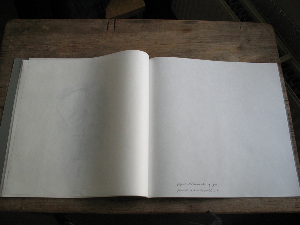 © Toine Horvers: 