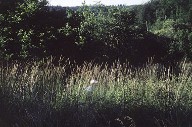 © Toine Horvers: Toine Horvers,Paysage Sonore (landscape of sound),four residents of a French village discribe for one hour what they hear, see and feel from the wind,performance group, sound installation, in public space