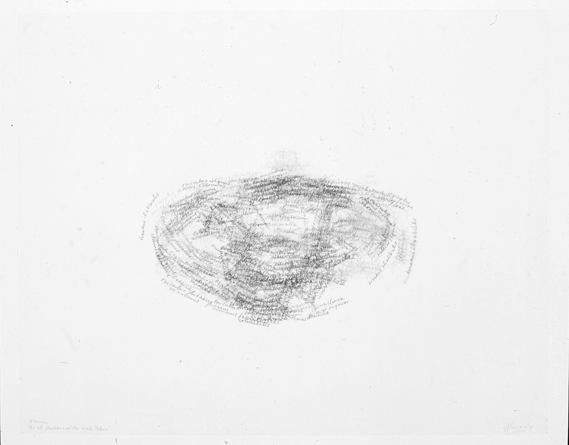 © Toine Horvers: 