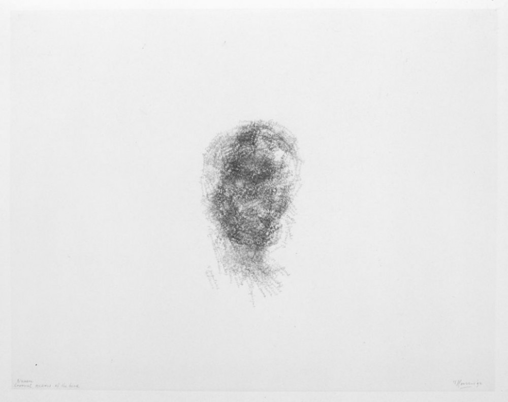 © Toine Horvers: 